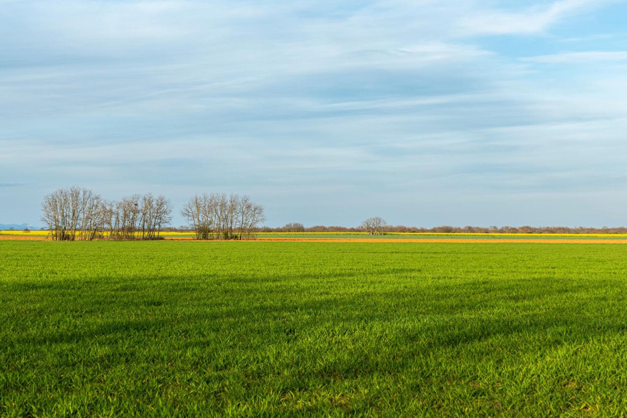 Descubre La Cepedana: Casa Rural Con Encanto En Cogorderos, A Solo 10 Km De Astorga Buitenkant foto